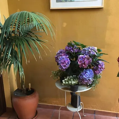 Casa Frente Al Volcan Bandama Hytte Las Palmas de Gran Canaria